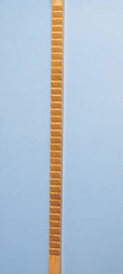 Shoulder / Finger Exercise Ladder