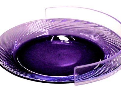 Plate Guard  Clear Large