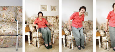 SafetySure StandEase Stand-UP Assist