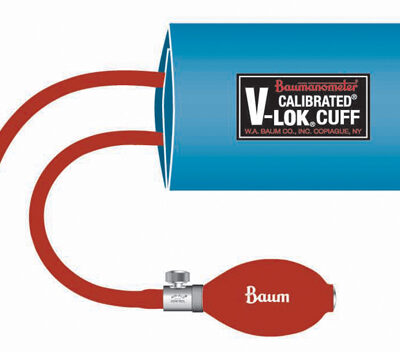 Non-Latex Inflation System Large Adult