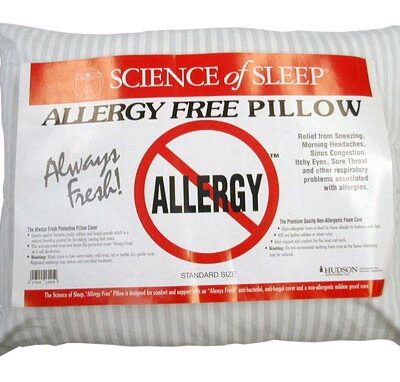 Allergy-Free Pillow Standard 15.5  x 23