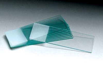 Microscope Slides- Plain Pk/72