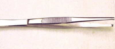 Tissue Forceps 5  1x2 Teeth